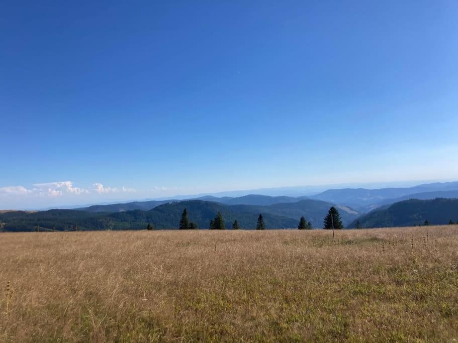 Feldberg Apartment - Direkt An Der Skipiste - Mit Sauna Buitenkant foto