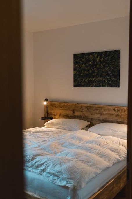 Feldberg Apartment - Direkt An Der Skipiste - Mit Sauna Buitenkant foto
