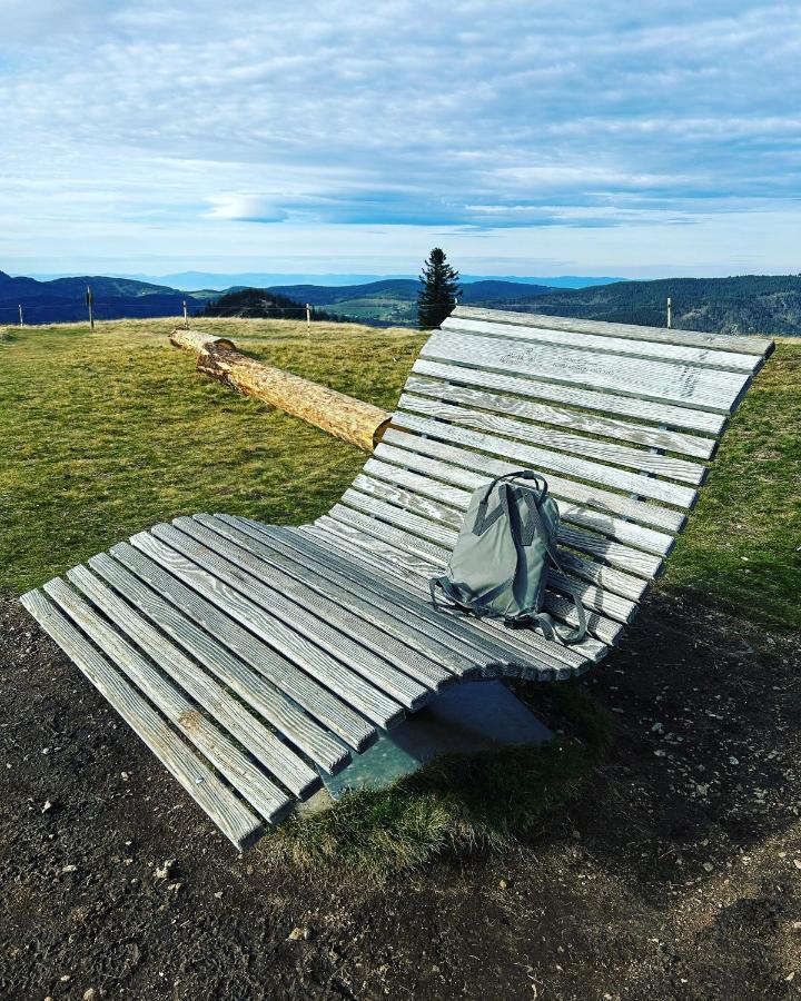Feldberg Apartment - Direkt An Der Skipiste - Mit Sauna Buitenkant foto