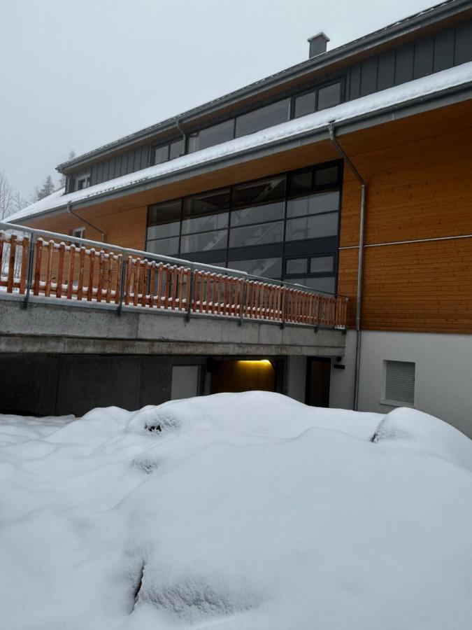 Feldberg Apartment - Direkt An Der Skipiste - Mit Sauna Buitenkant foto
