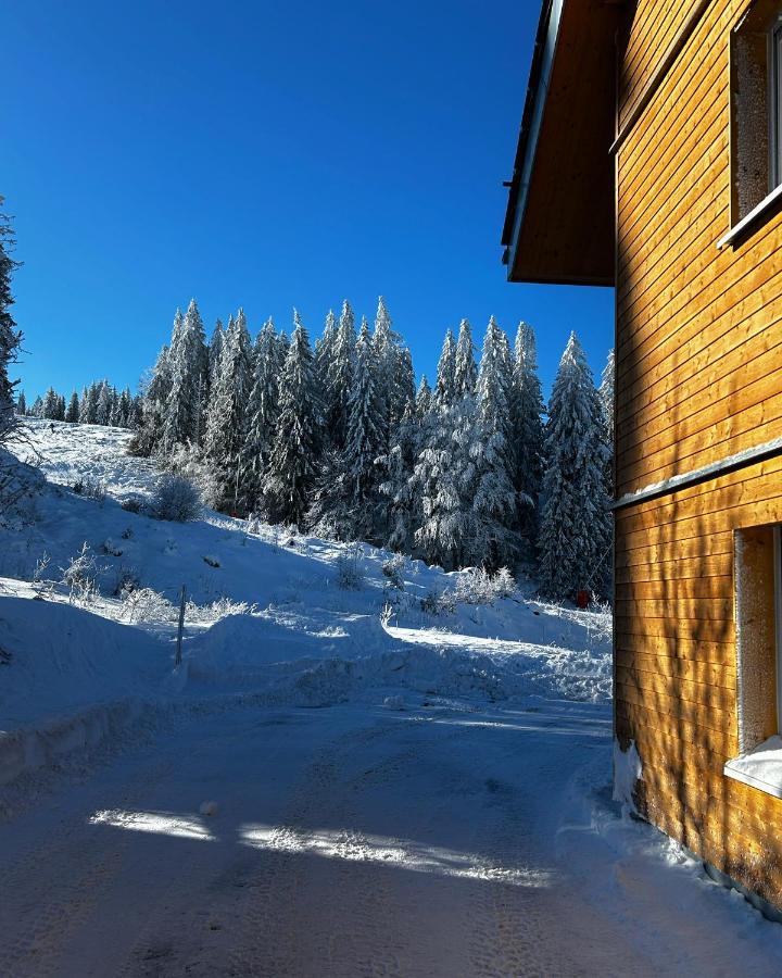 Feldberg Apartment - Direkt An Der Skipiste - Mit Sauna Buitenkant foto