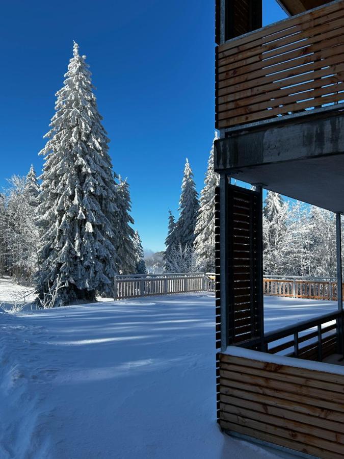 Feldberg Apartment - Direkt An Der Skipiste - Mit Sauna Buitenkant foto