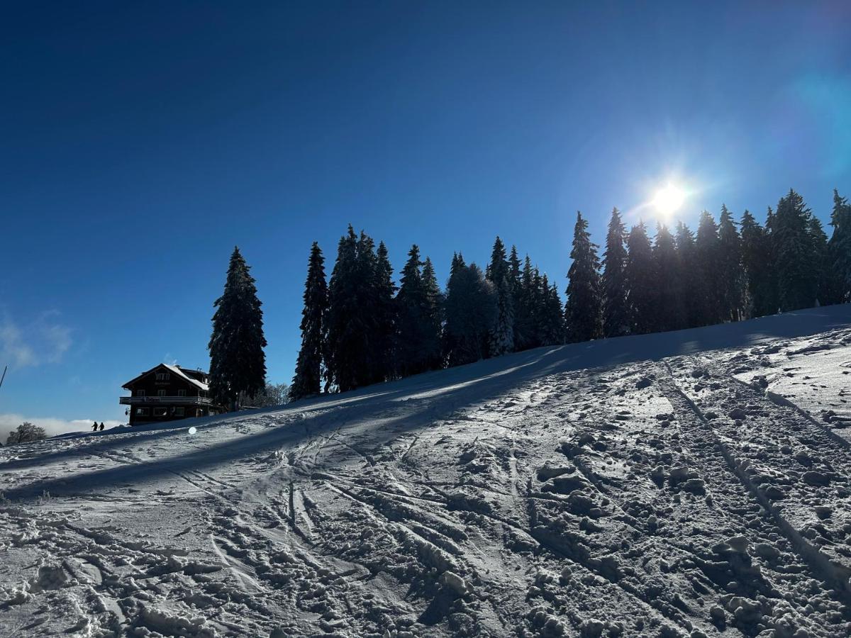 Feldberg Apartment - Direkt An Der Skipiste - Mit Sauna Buitenkant foto