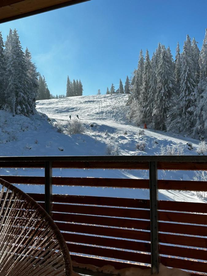 Feldberg Apartment - Direkt An Der Skipiste - Mit Sauna Buitenkant foto
